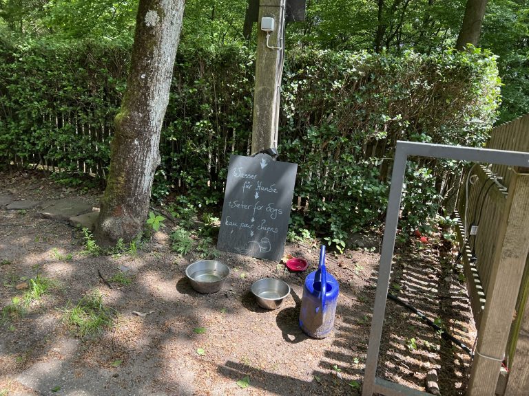 Und auch für unsere vierbeinigen Freunde wird gesorgt