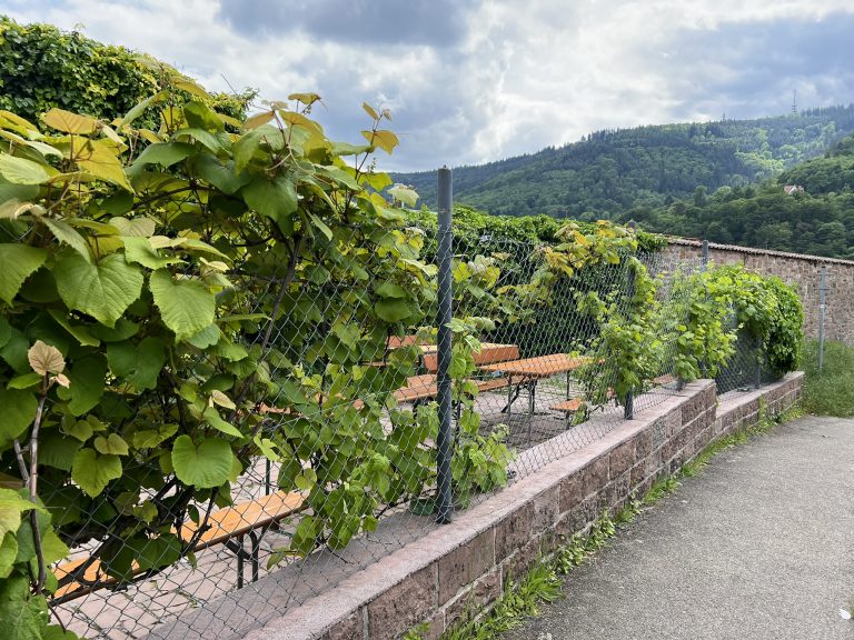 Umgeben von grünen Bergen liegt der Klosterhof etwas außerhalb des Stadtzentrums