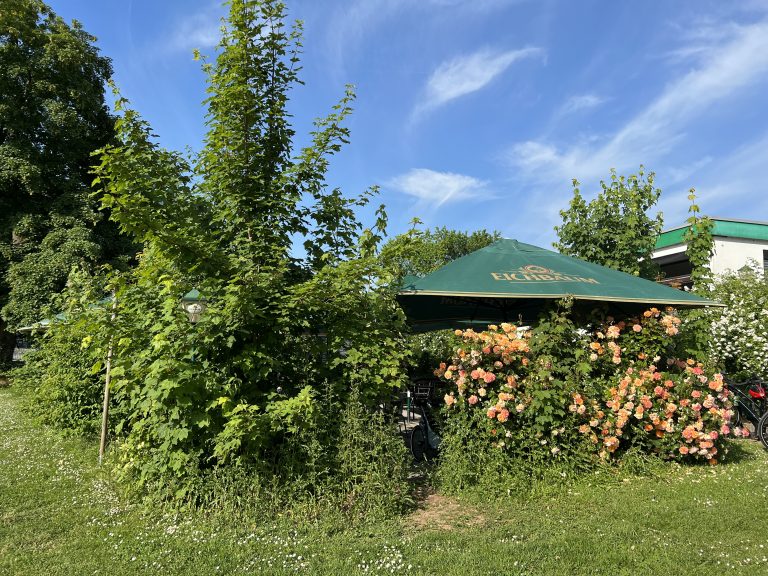 Heimkabine Heidelberg