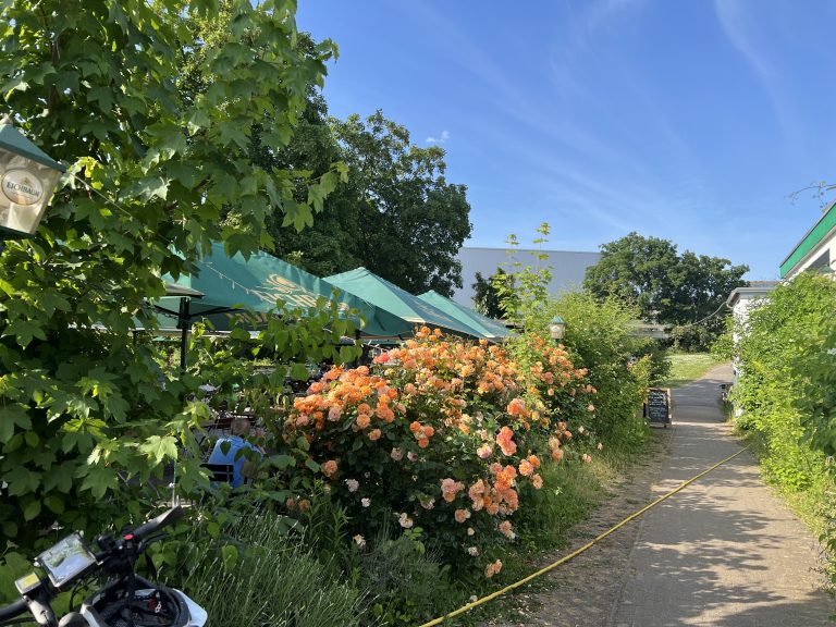 Hier blüht alles schön