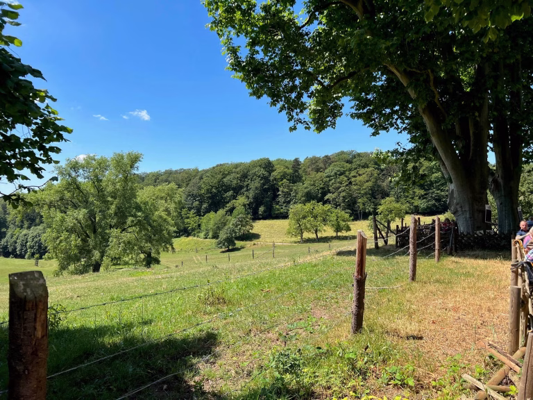 Bierhelderhof Biergarten Heidelberg Ausblick ins Grüne