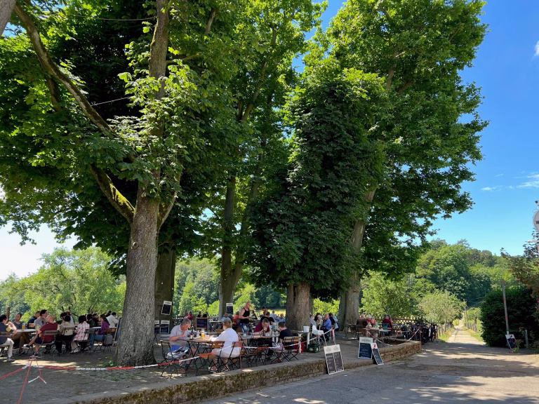Bierhelderhof Heidelberg Südstadt Biergarten