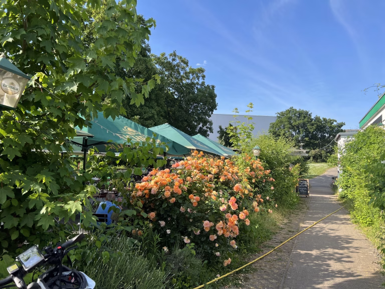 Hier blüht alles schön im Biergarten