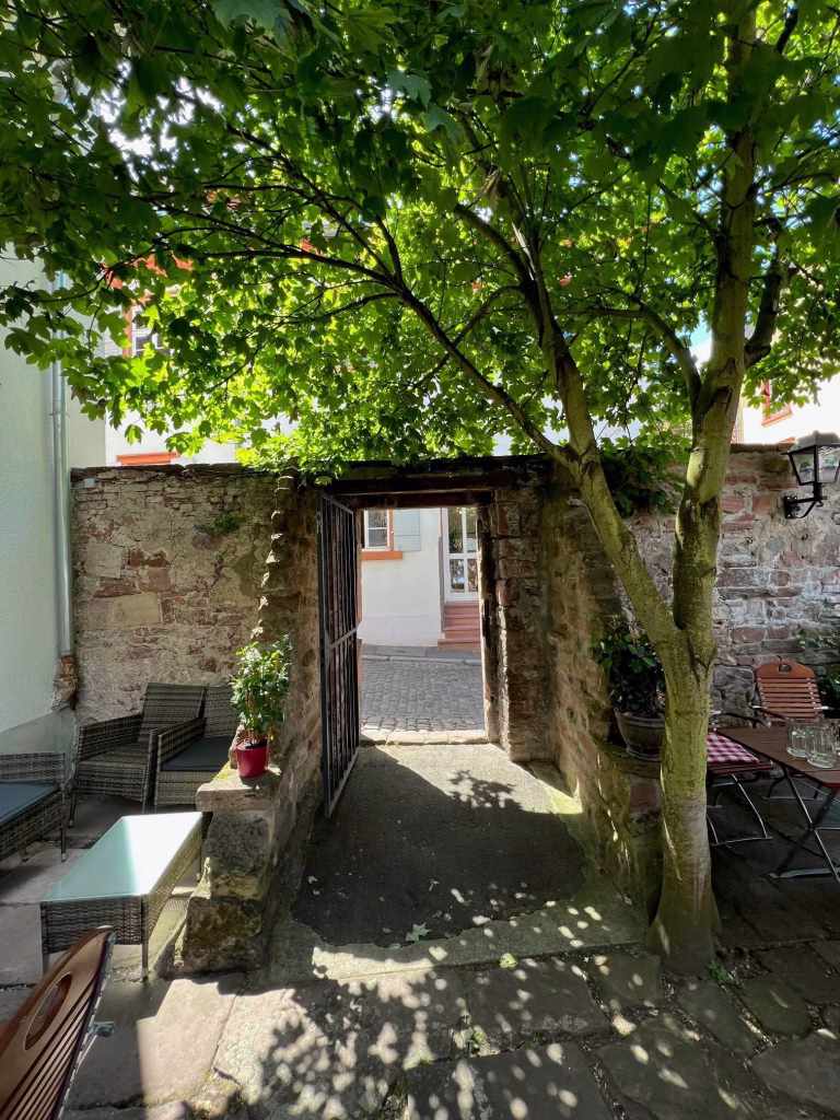 Sudpfanne Heidelberg