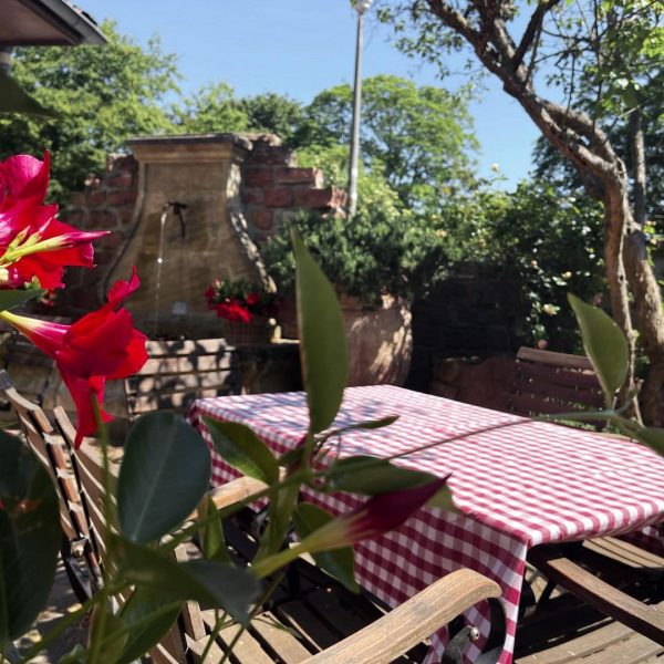 Ein schöner Weingarten in Mannheim findet sich im Restaurant Rheinterrassen