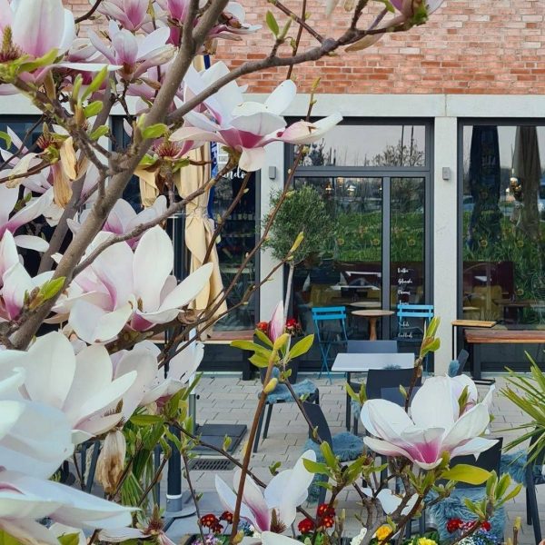 Das Cafe del Mundo von außen im Frühling