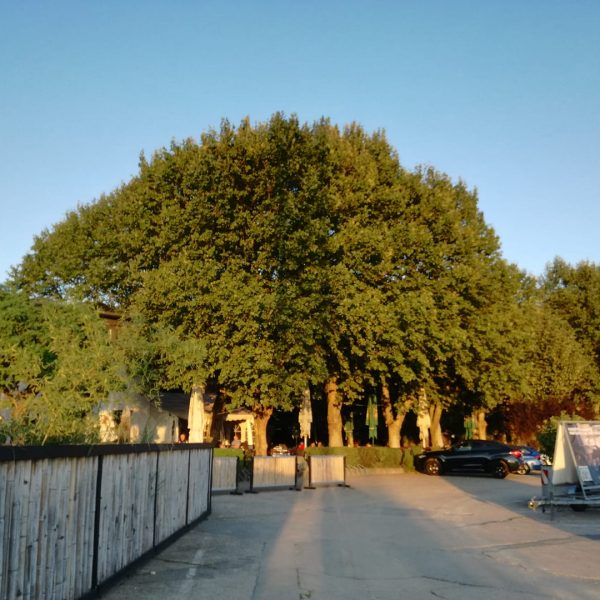 restaurant biergarten mannheim am Cityairport
