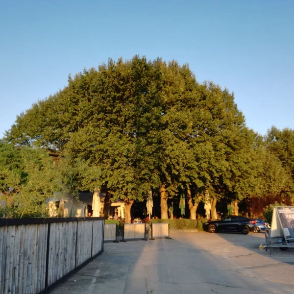 restaurant biergarten mannheim am Cityairport