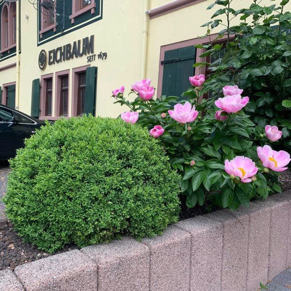 Hier wird es idyllisch :-)