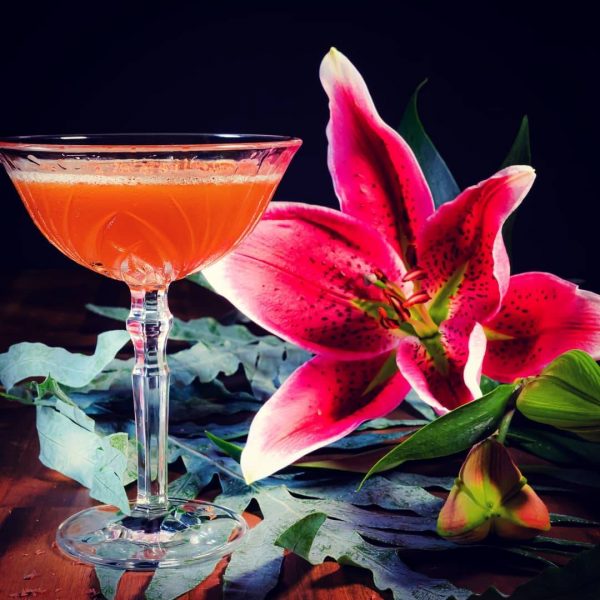 Viele eigene Cocktail Kreationen warten in der Regie auf dich