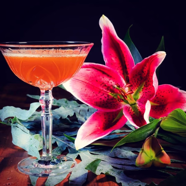 Viele eigene Cocktail Kreationen warten in der Regie auf dich