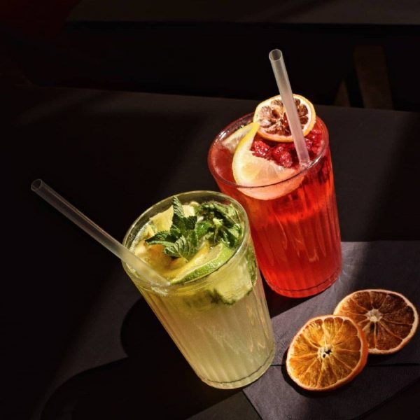 Ingwer-Minze & Cranberry-Lemon hausgemachten Limonaden als non alkoholic drink