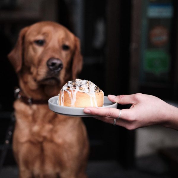 das fragt sich der Freund hier nämlich auch! ;-)
