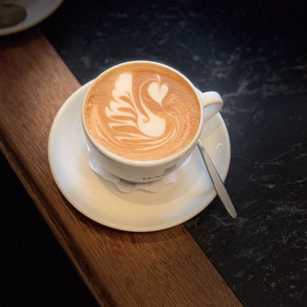 leckerer Kaffee mit Schwan im Schaum